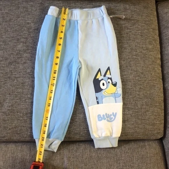BLUEY Moose Toddler Boy Bluey Sweatshirt Pullover Sweatpants Set Blue Cream 3T - Picture 17 of 17
